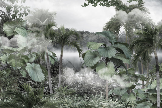 Foggy Forest Licuala Cordata Enchanting Vine Tropical Wallpaper