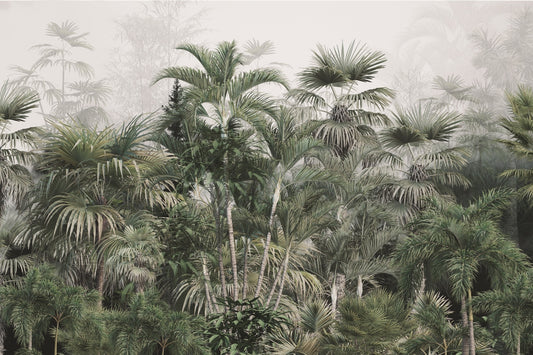 Foggy Forest Tropical Trees and Leaves Peel Stick Wallpaper