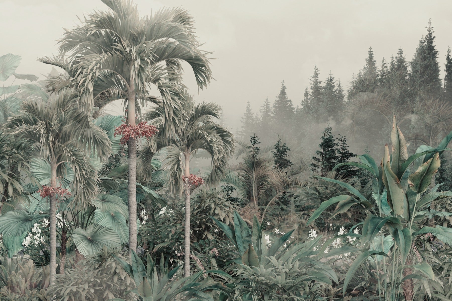 Cuban Royal Palm Red Seeds Tropical Foggy Forest Wallpaper