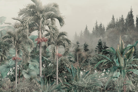 Cuban Royal Palm Red Seeds Tropical Foggy Forest Wallpaper