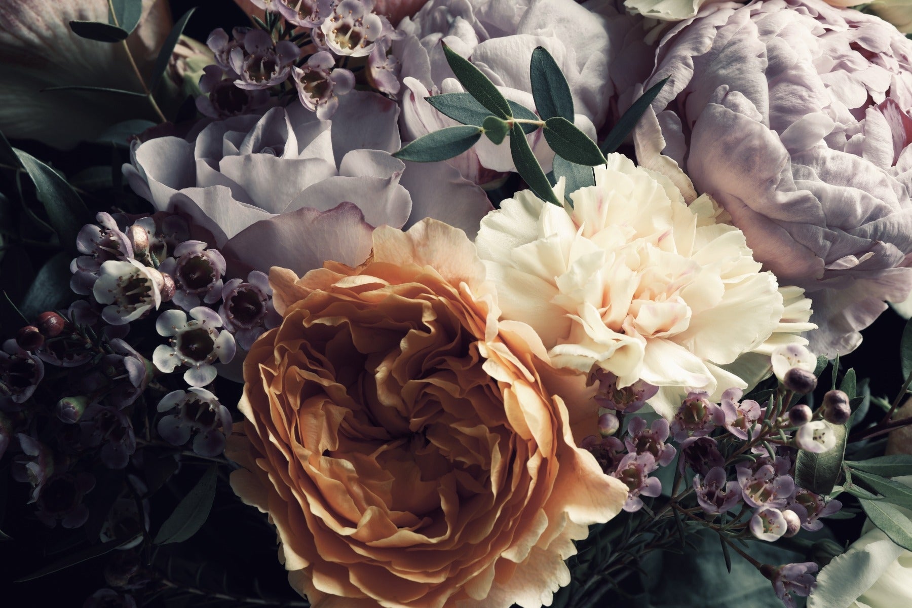 Dark Flower Bouquet Botanical Wallpaper Murals