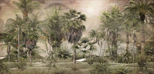 Tropical Design Foggy Rainforest Sunny Day Wall Murals