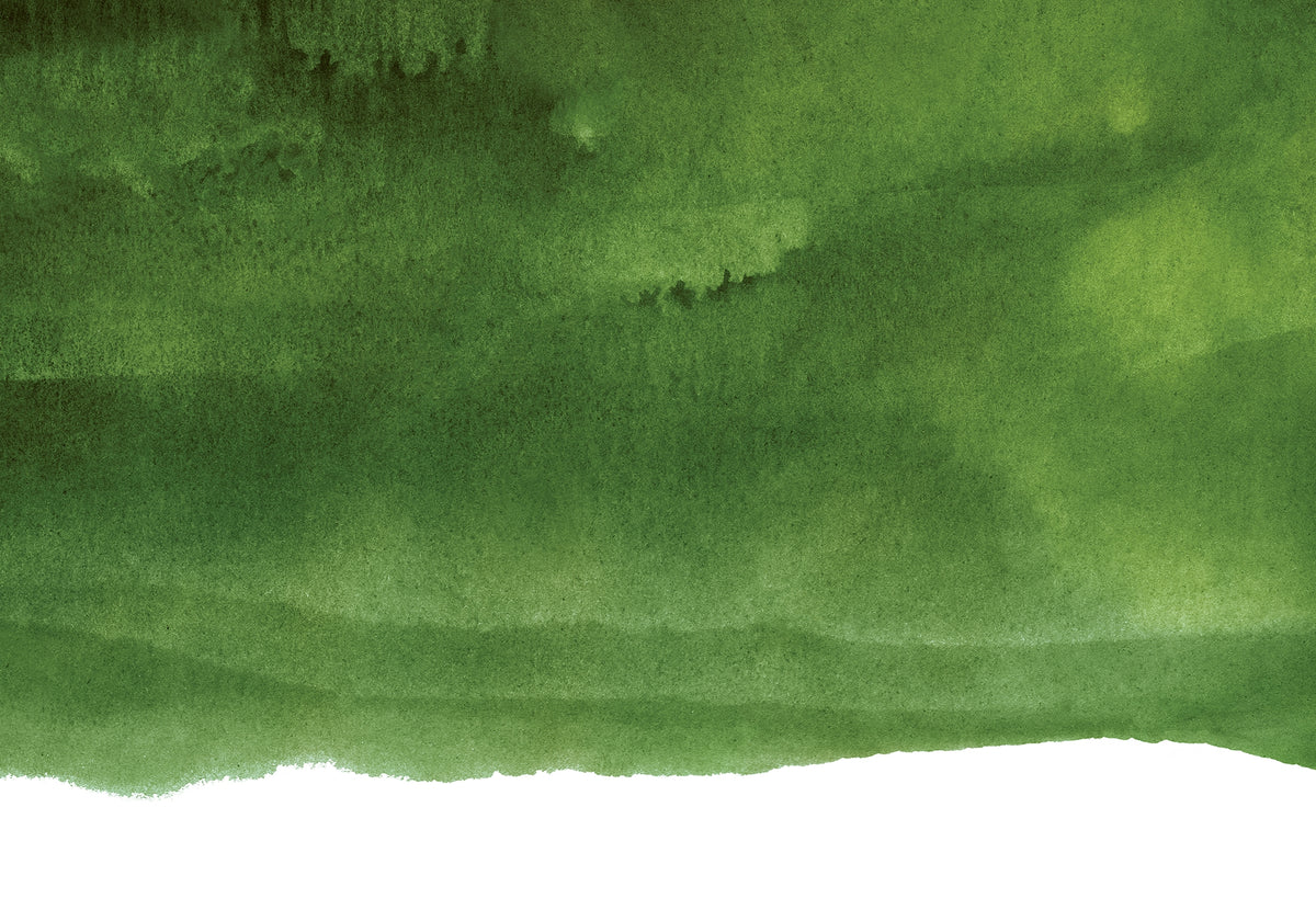 Tranquil Shades of Green Wallpaper Mural in your room