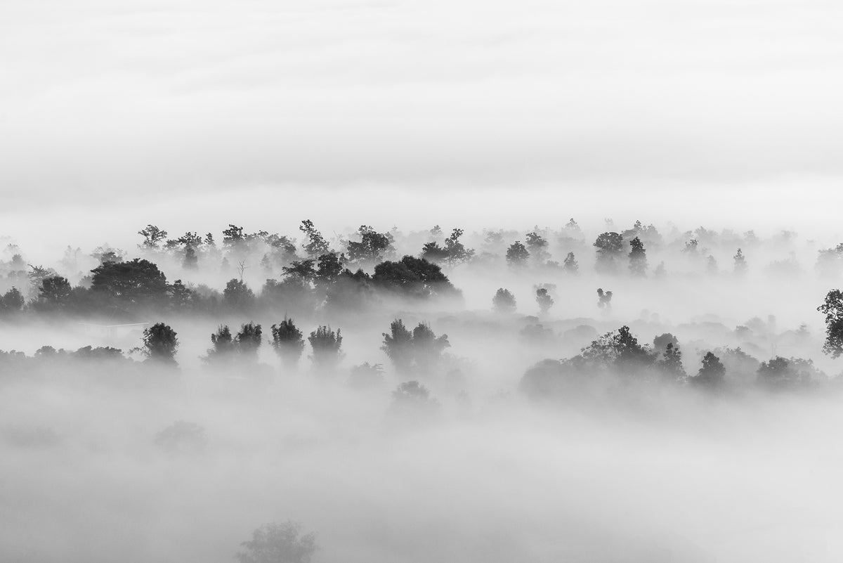 Stormy Silhouettes Art Wallpaper Mural in your room — zoomed