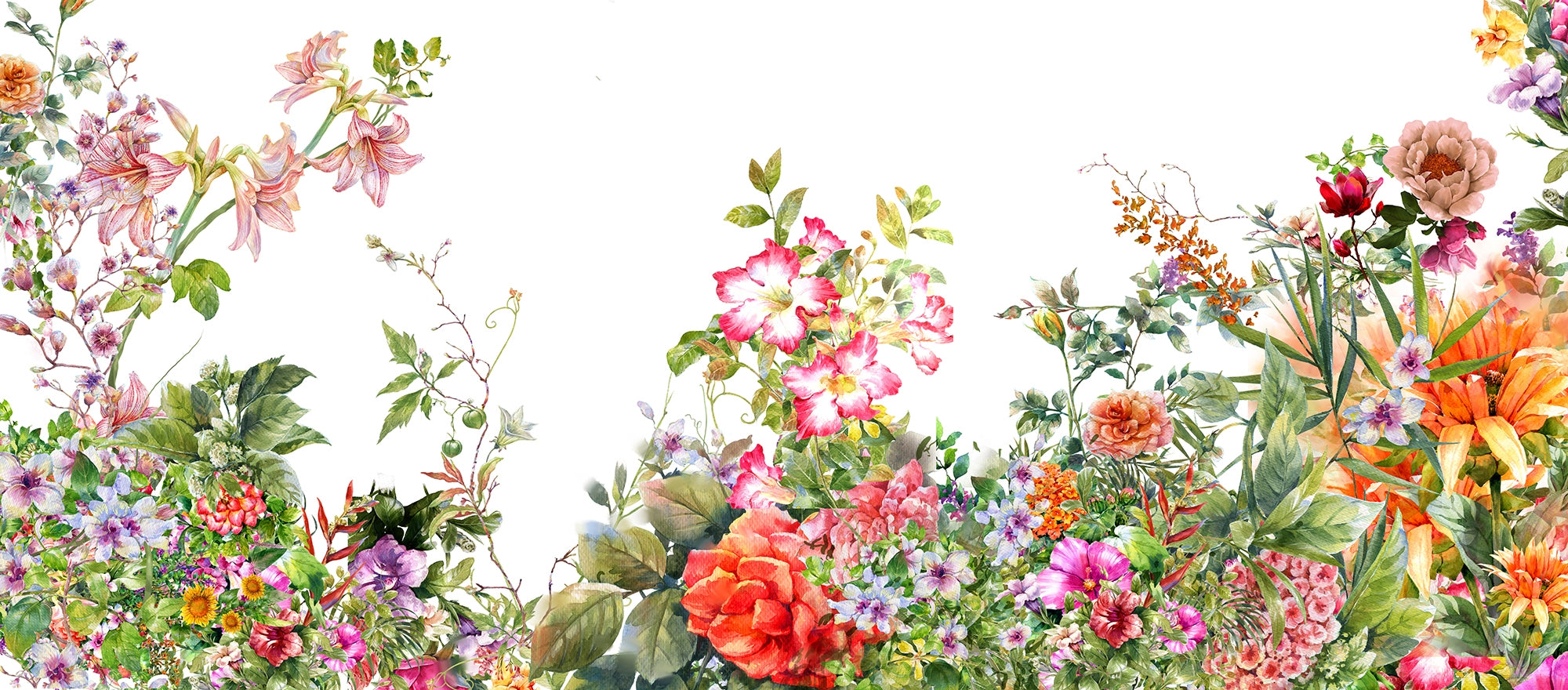 Botanical Elegance Watercolor Wallpaper Murals