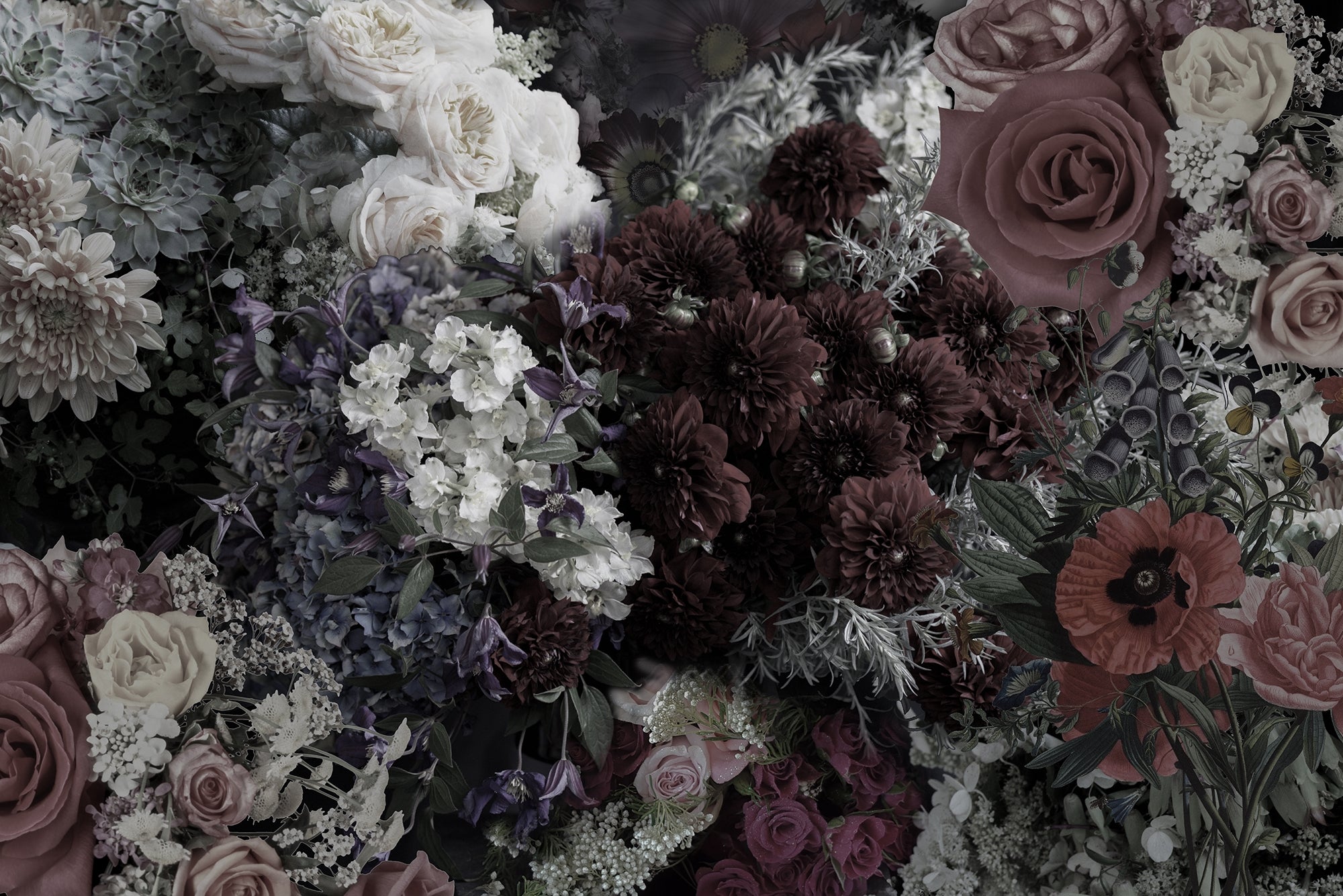 Gothic Garden Dark Floral Wall Murals