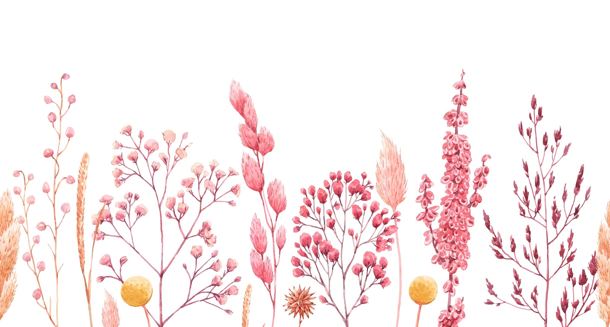 Natures Canvas Dried Flower Wall Mural