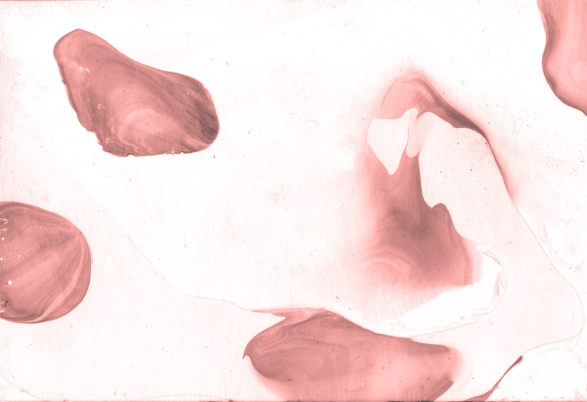 Brushstroke Blush Wallpaper Murals