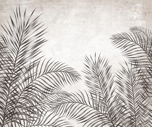 Black and White Palm Leaves Wallpaper Murals