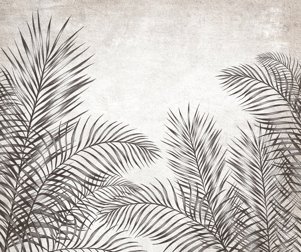 Black and White Palm Leaves Wallpaper Murals
