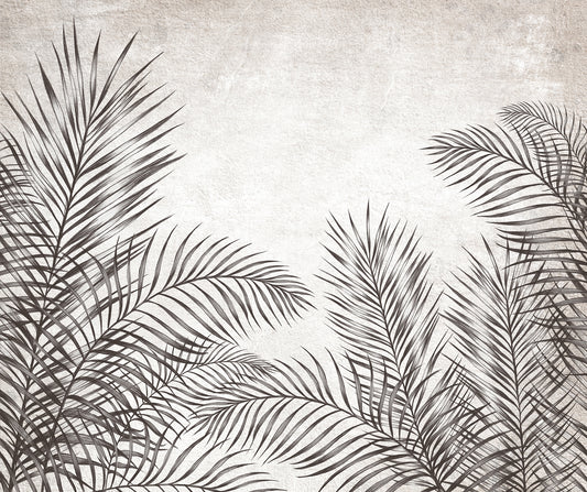 Black and White Palm Leaves Wallpaper Murals