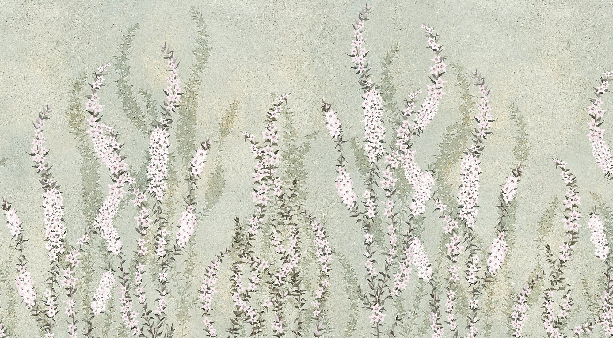 Rising White Orchids with Green Background Murals