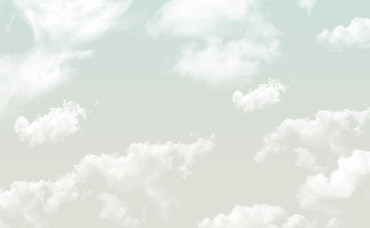 Heavenly Horizons Wall Covering Murals