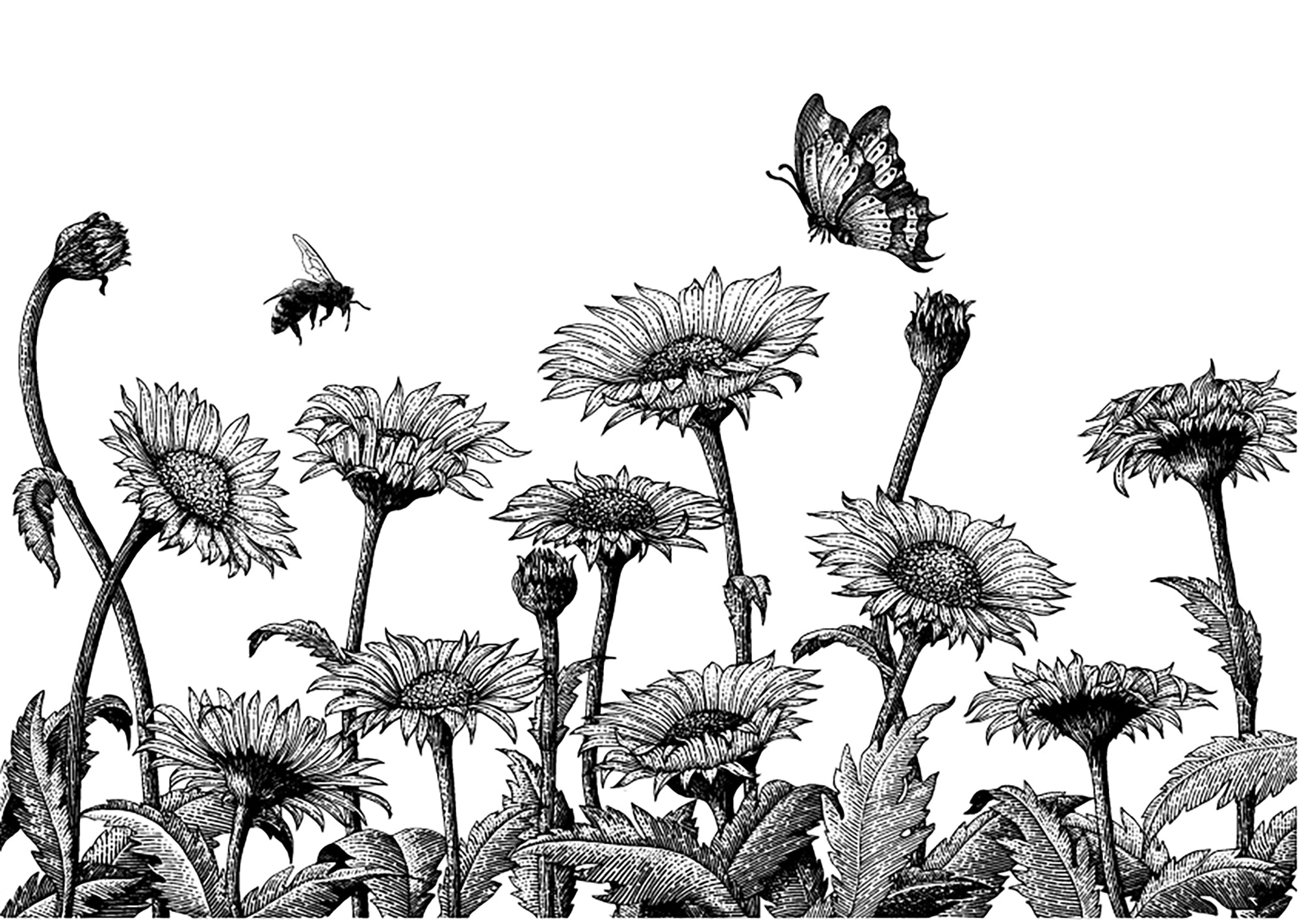Sketch of Sunflower Field Wall Murals