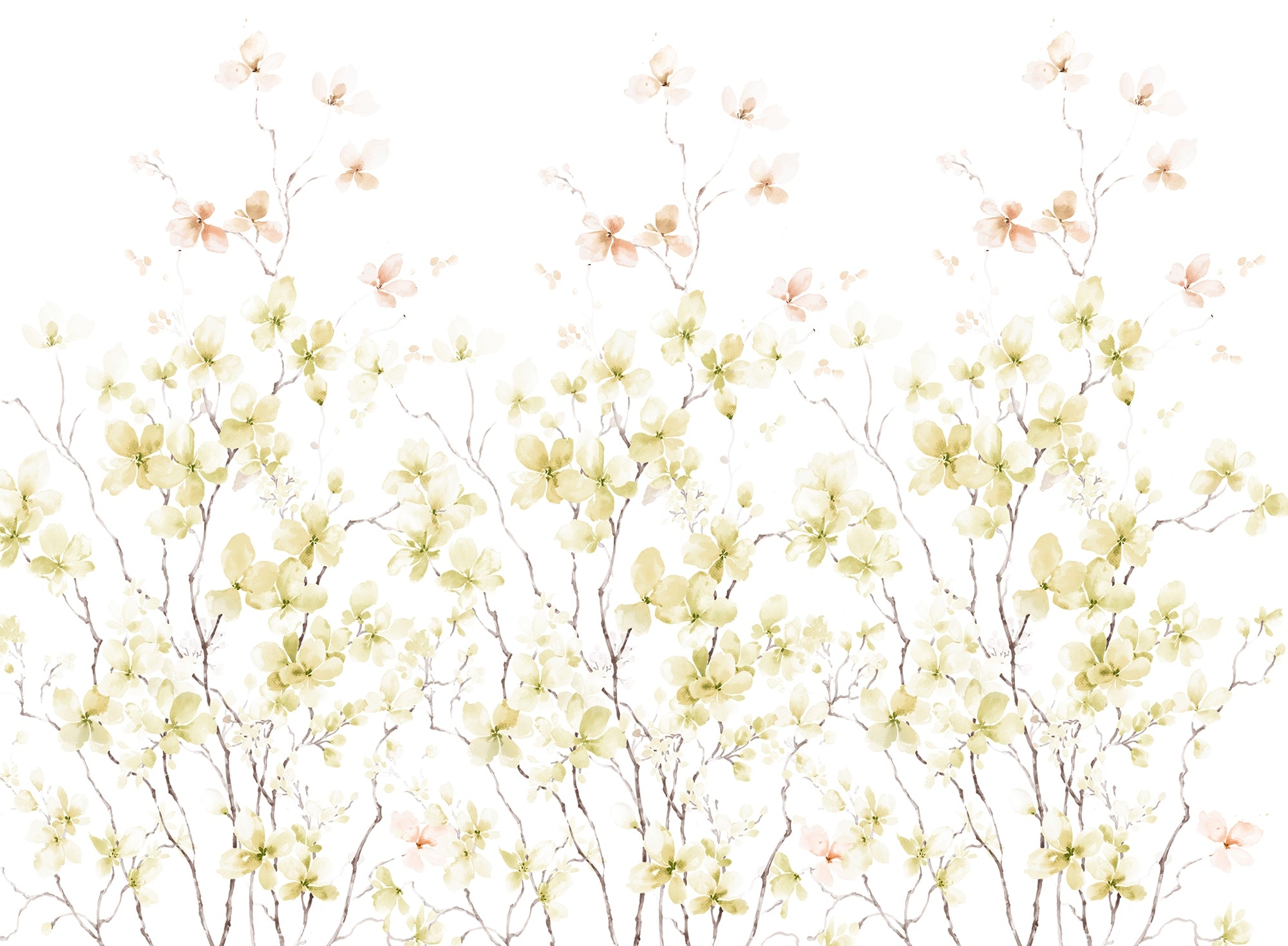 Watercolor Floral Art Wall Murals