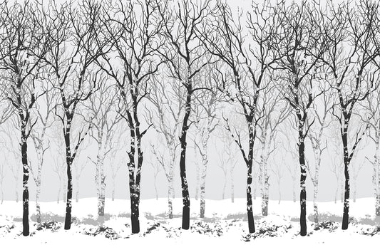 Winter Birch Trees Wallpaper Murals