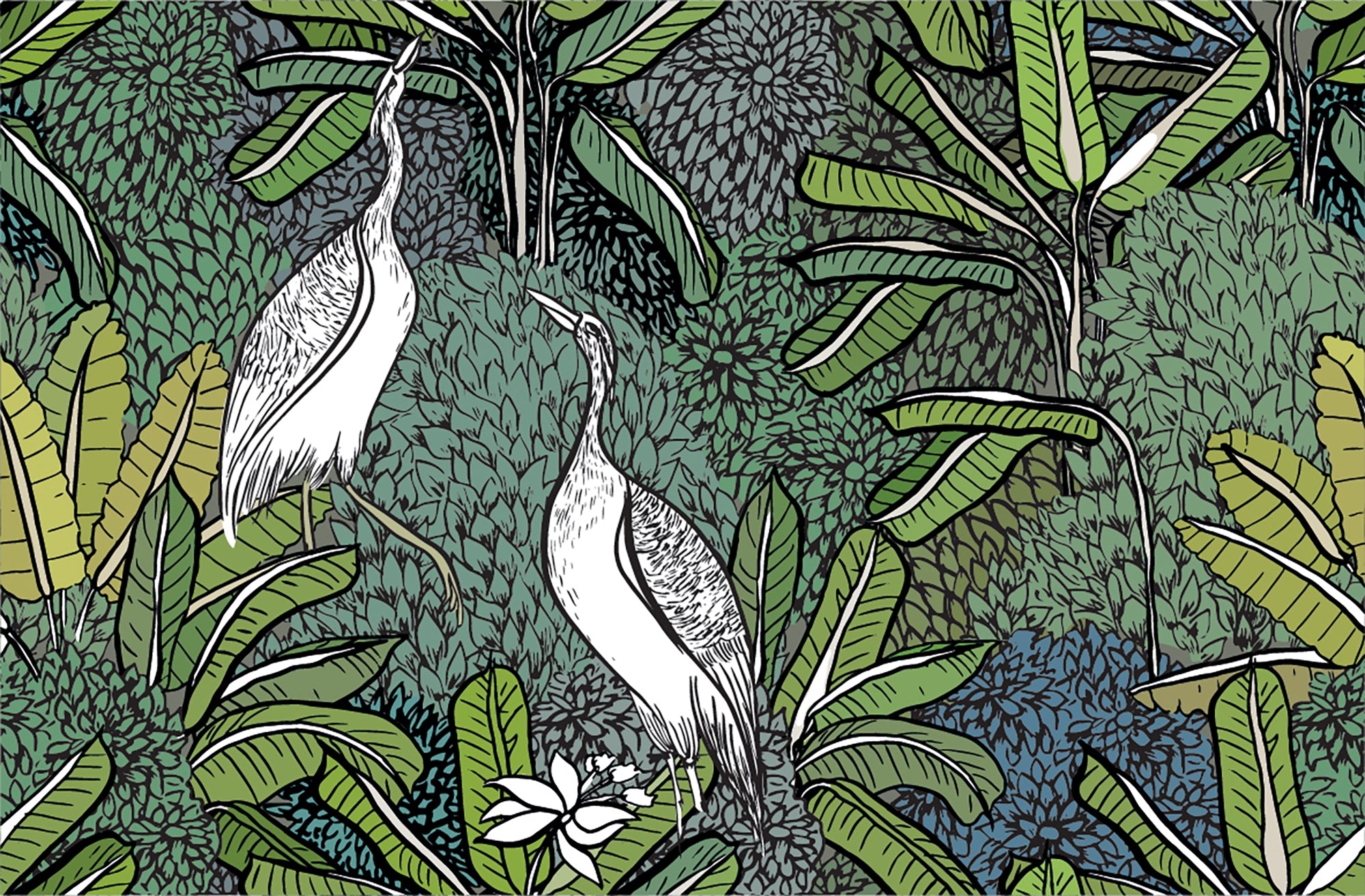 Tropical Greenery with White Cranes Wallpaper Murals