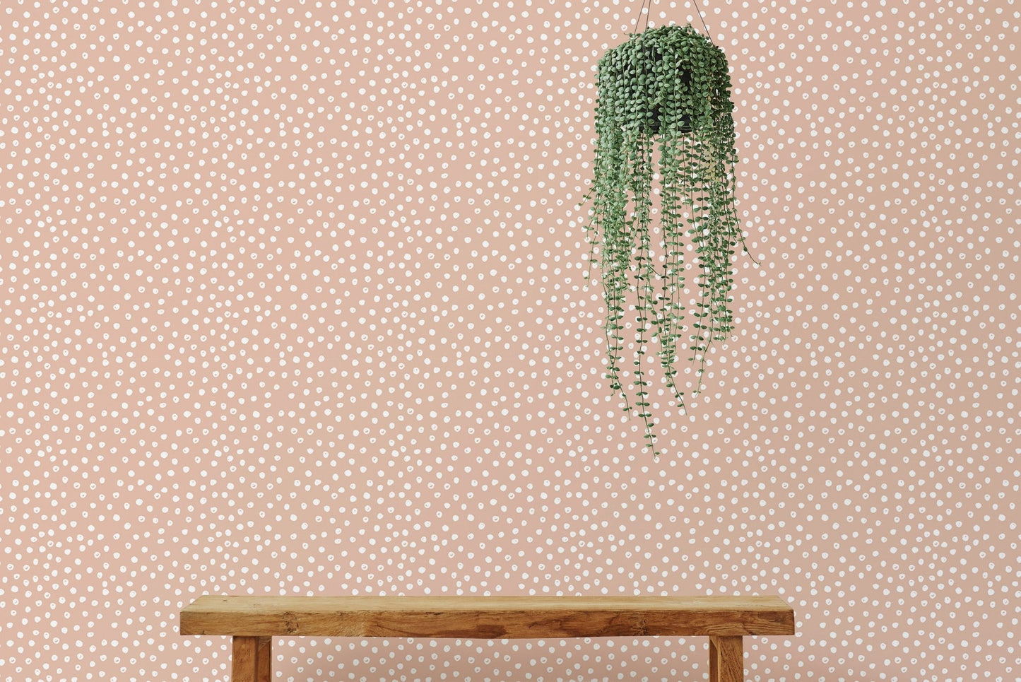 Beige and white hand-painted polka dots wallpaper and hanging plant.
