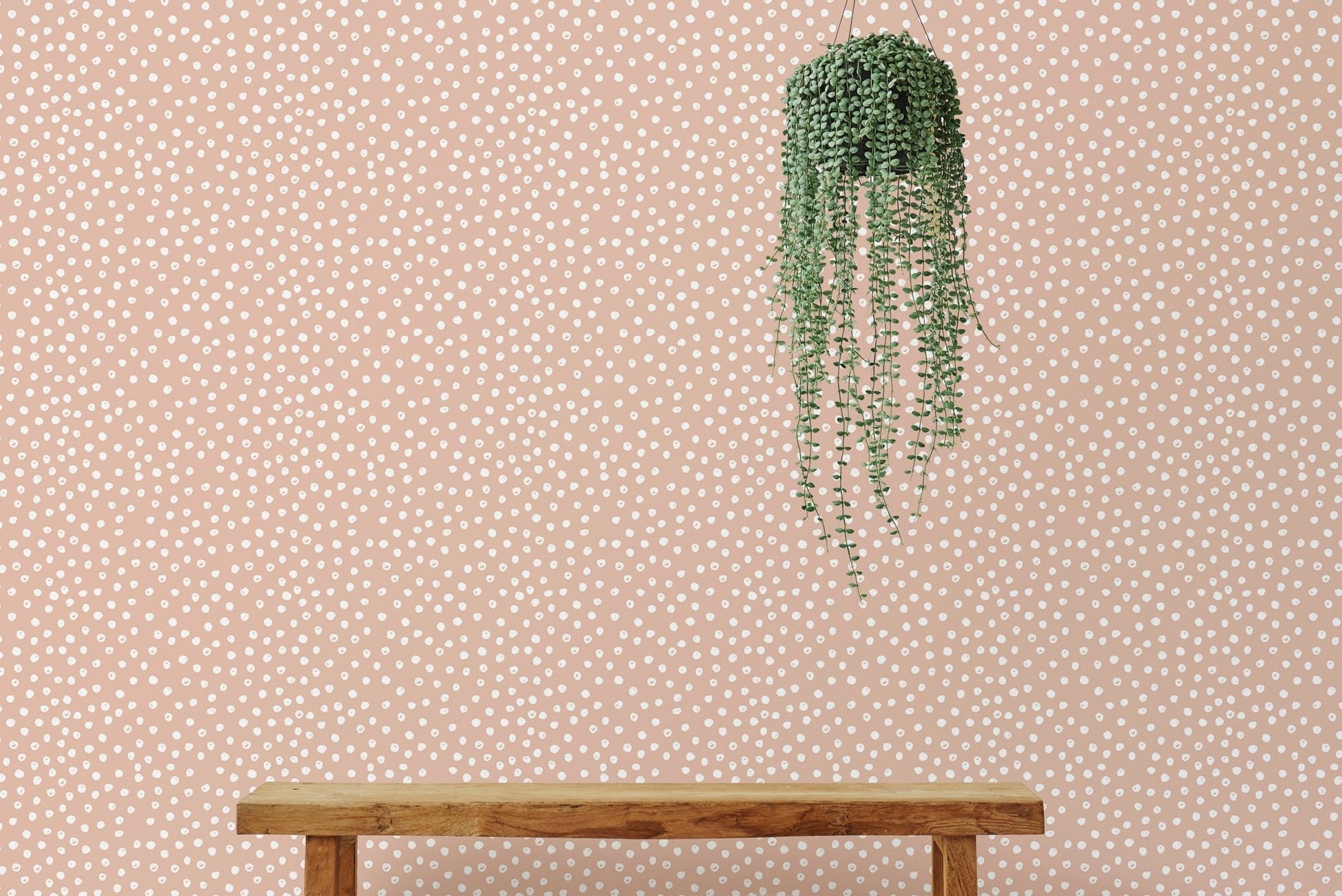 Beige and white hand-painted polka dots wallpaper and hanging plant.
