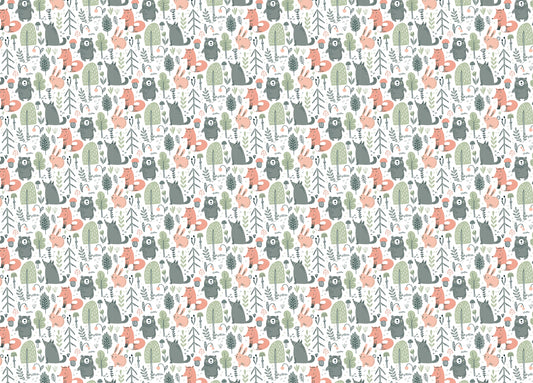 Colorful Wild Forest Animals Kids Room Wallpaper