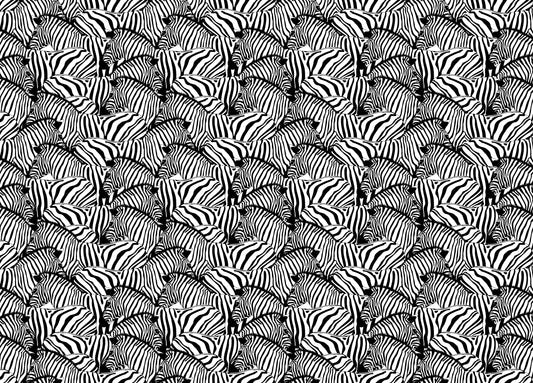 Black and White Zebra Striped Savannah Animal Wallpaper