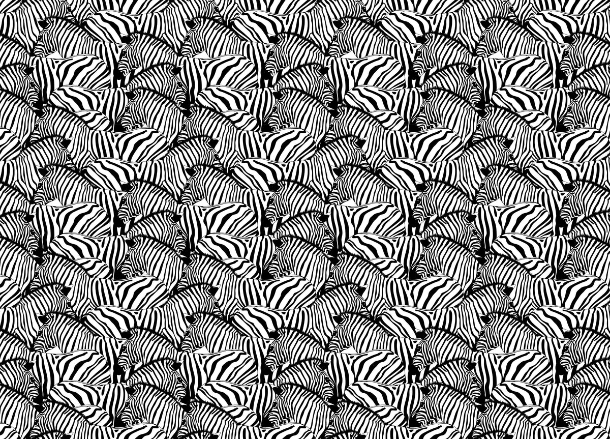 Black and White Zebra Striped Savannah Animal Wallpaper in your room