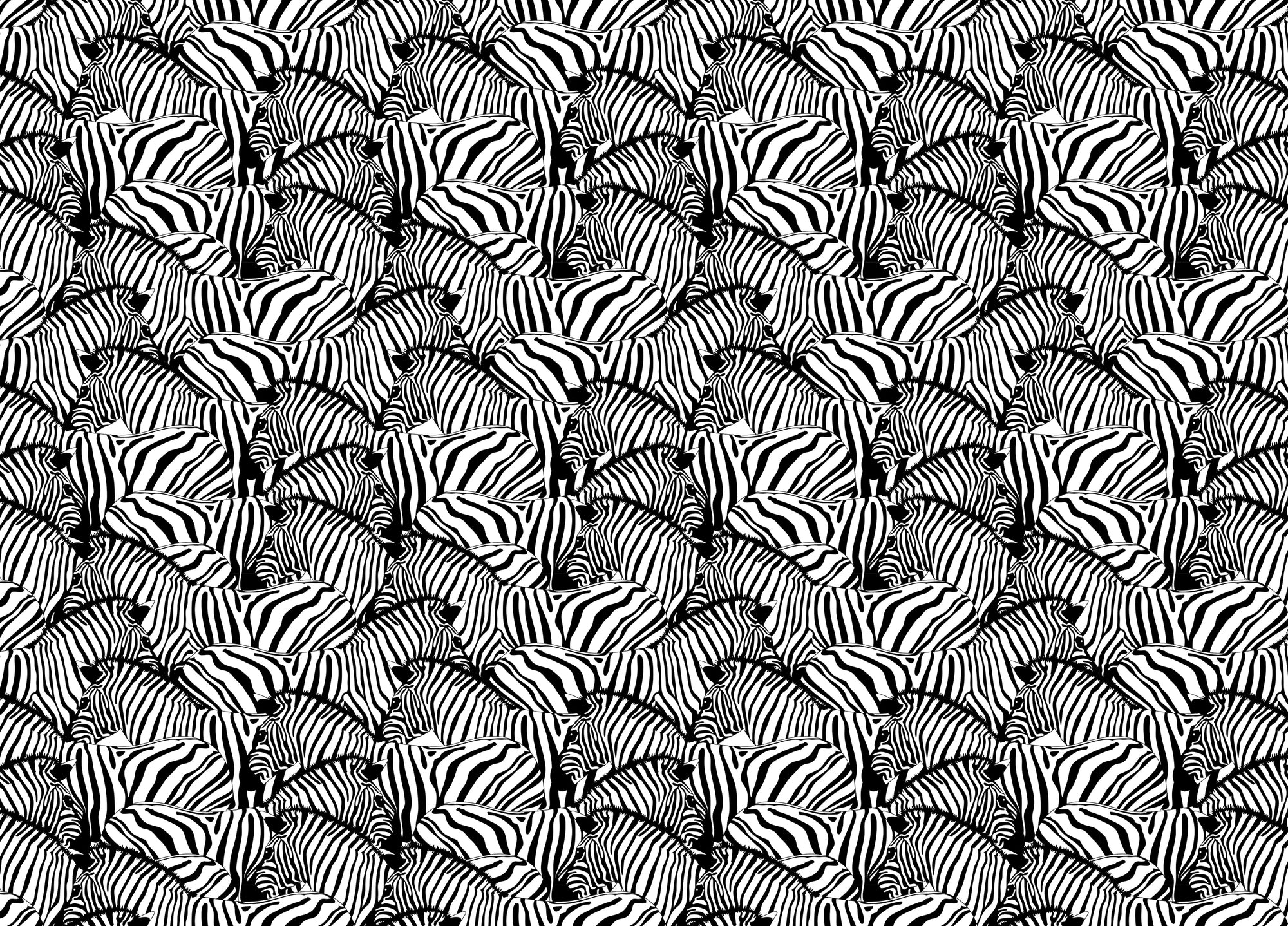 Black and White Zebra Striped Savannah Animal Wallpaper