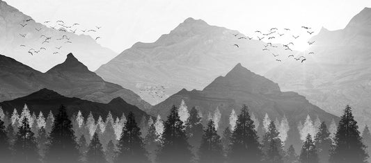 Shadowed Mountain Landscape Wall Murals