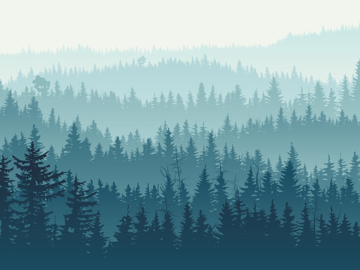 Foggy Forest Self Adhesive Wallpaper Murals