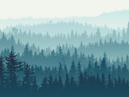 Foggy Forest Self Adhesive Wallpaper Murals