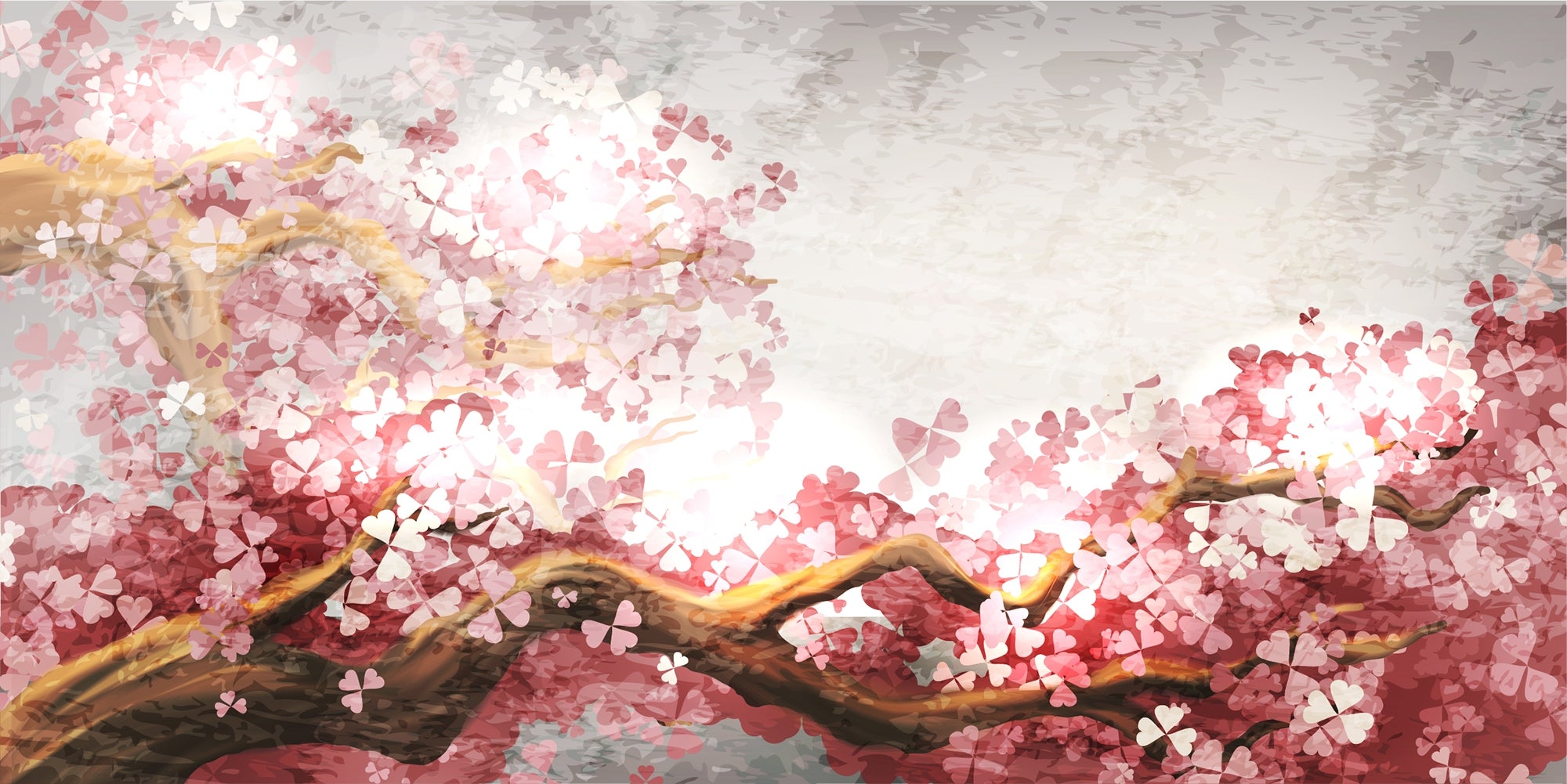 Blossoming Sakura Branches Wall Murals