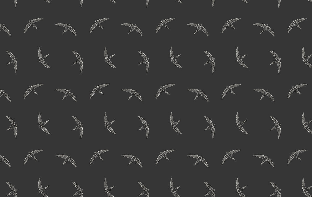 Midnight Swallow Bird Wallpaper in your room