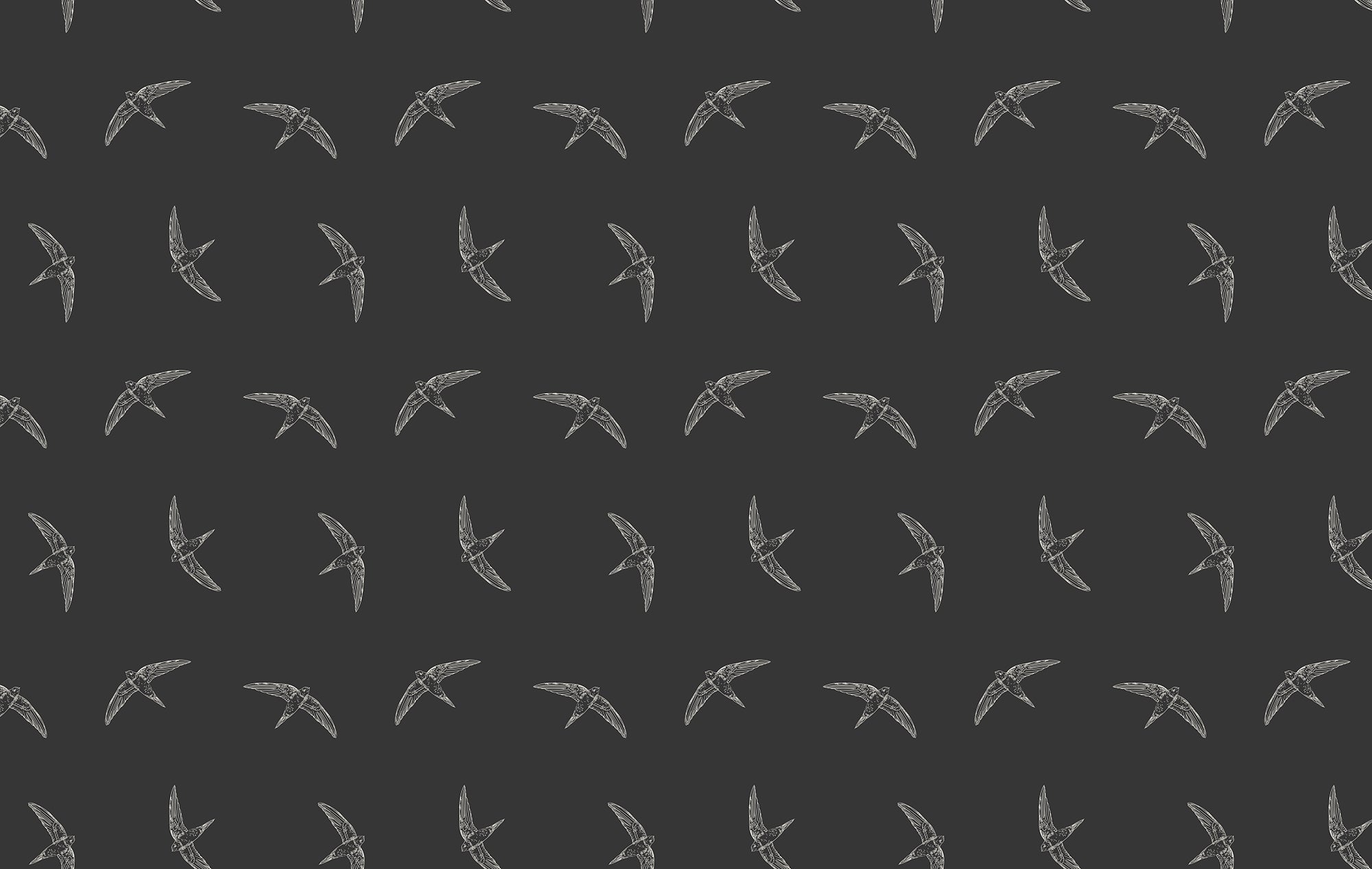Midnight Swallow Bird Wallpaper