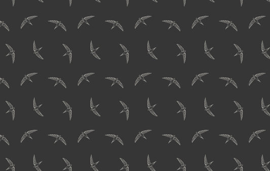 Midnight Swallow Bird Wallpaper