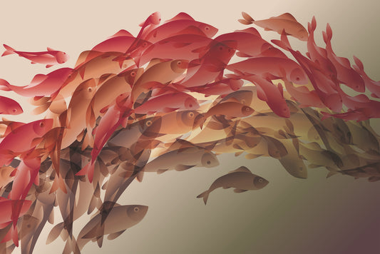 Abstract Koi Reflections Wallpaper Murals