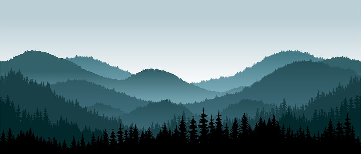 Mystic Mountain Shadows Wall Murals in your room