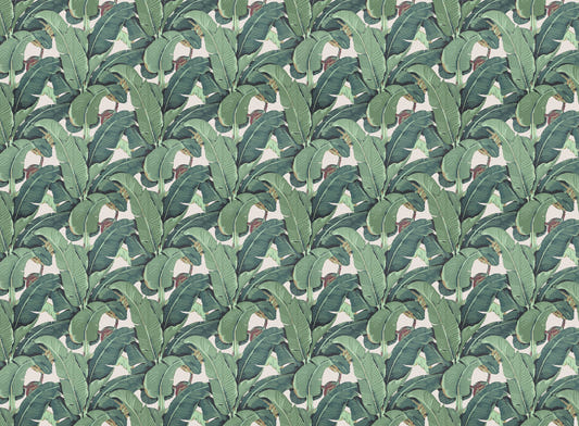 Banana Leaf Pattern Wallpaper for Walls