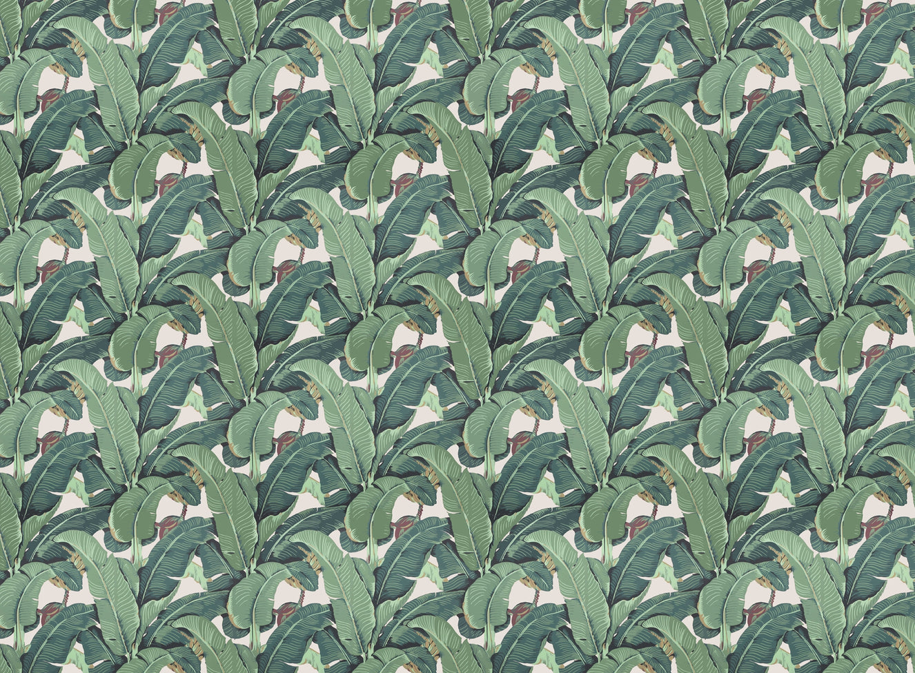 Banana Leaf Pattern Wallpaper for Walls