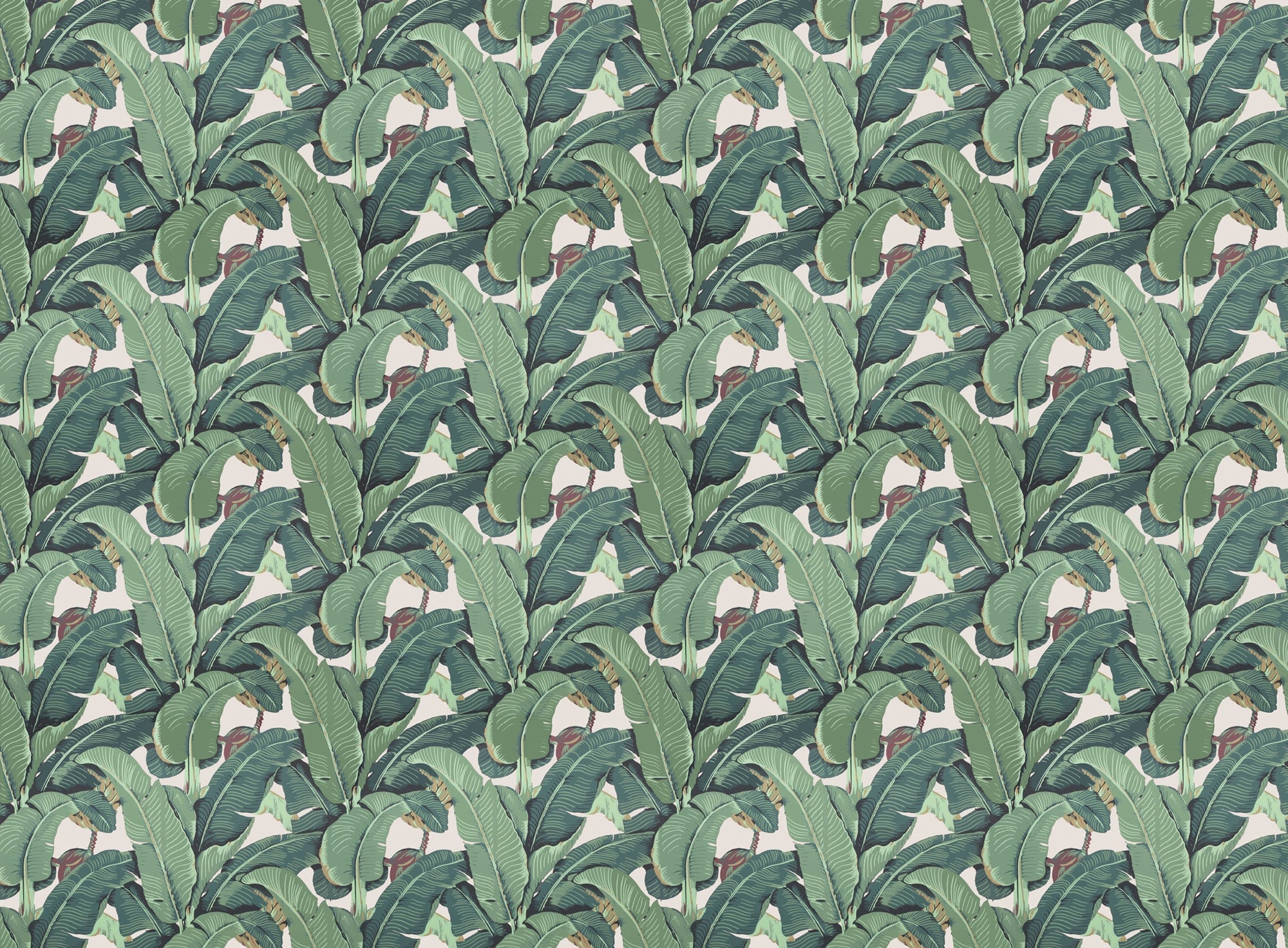 Banana Leaf Pattern Wallpaper for Walls