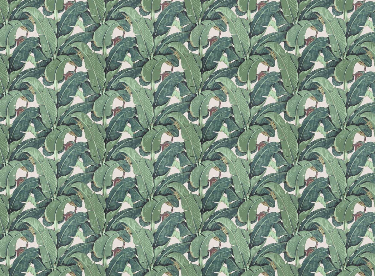Banana Leaf Pattern Wallpaper for Walls in your room — zoomed