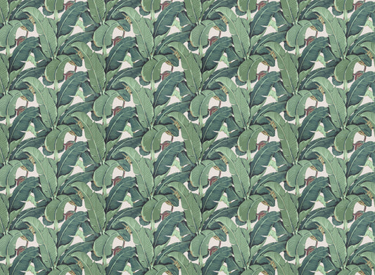 Banana Leaf Pattern Wallpaper for Walls