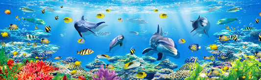Marine Magic Underwater Dolphin Murals