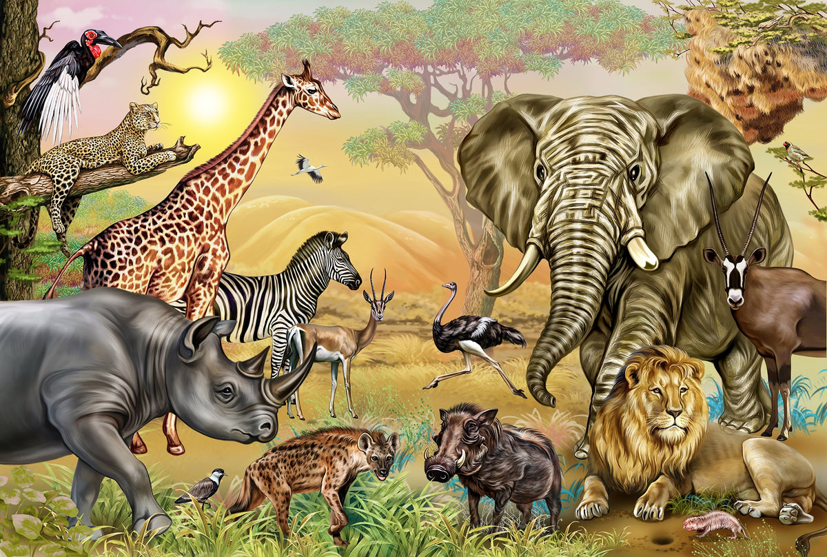 African Zoo Safari Wallpaper Murals in your room — zoomed