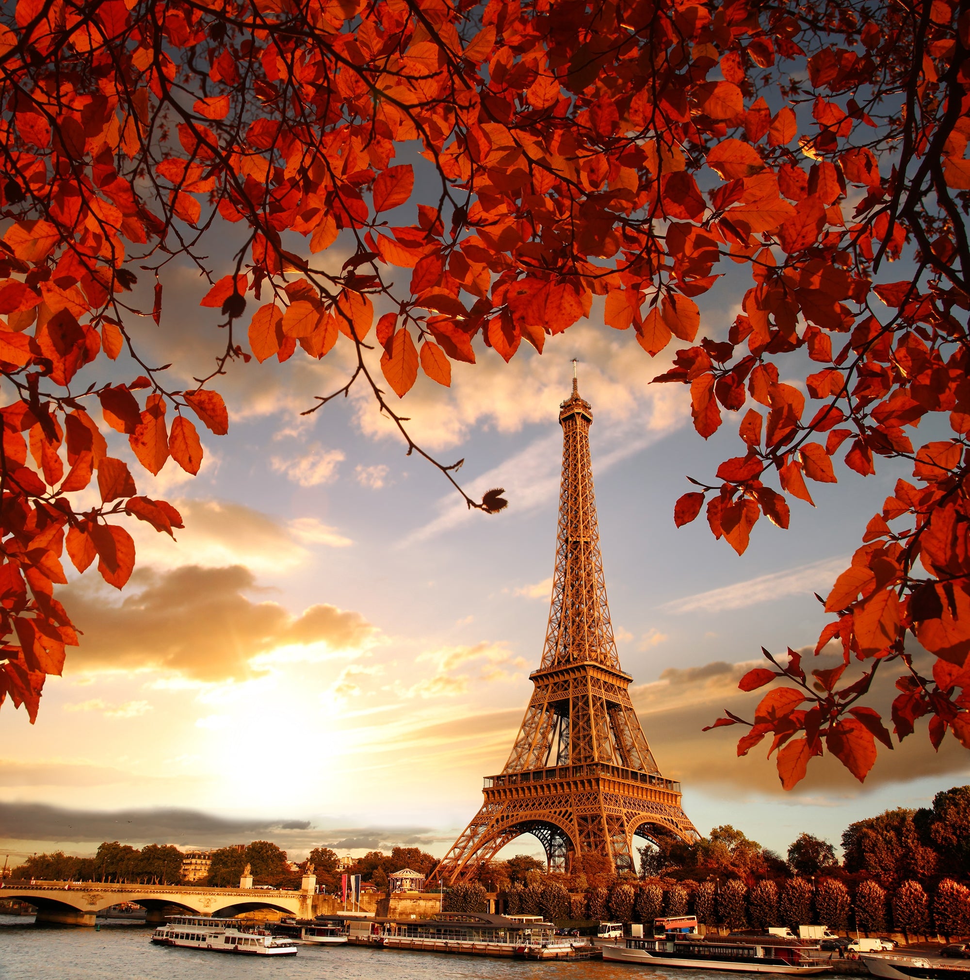 Autumn Whispers in Paris Wall Murals