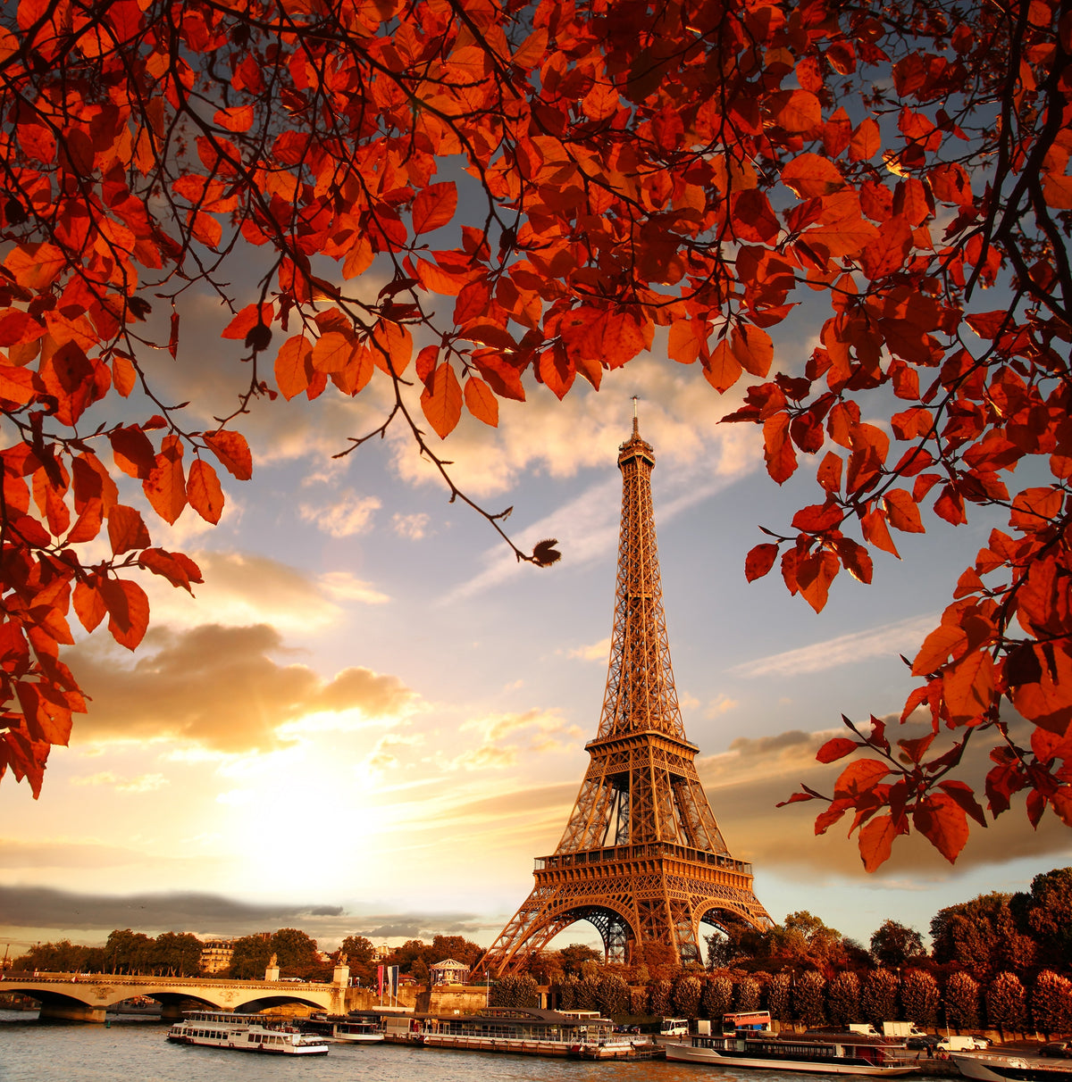 Autumn Whispers in Paris Wall Murals in your room — zoomed