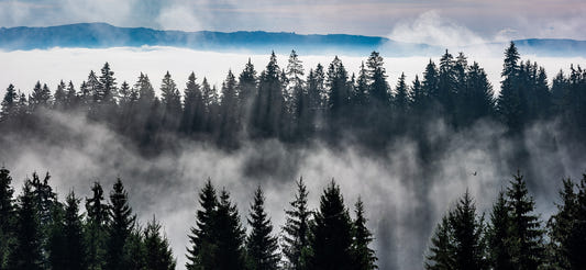 Mountain Mist Landscape Wall Murals