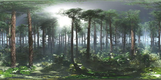 Peel & Stick Foggy Rainforest Murals
