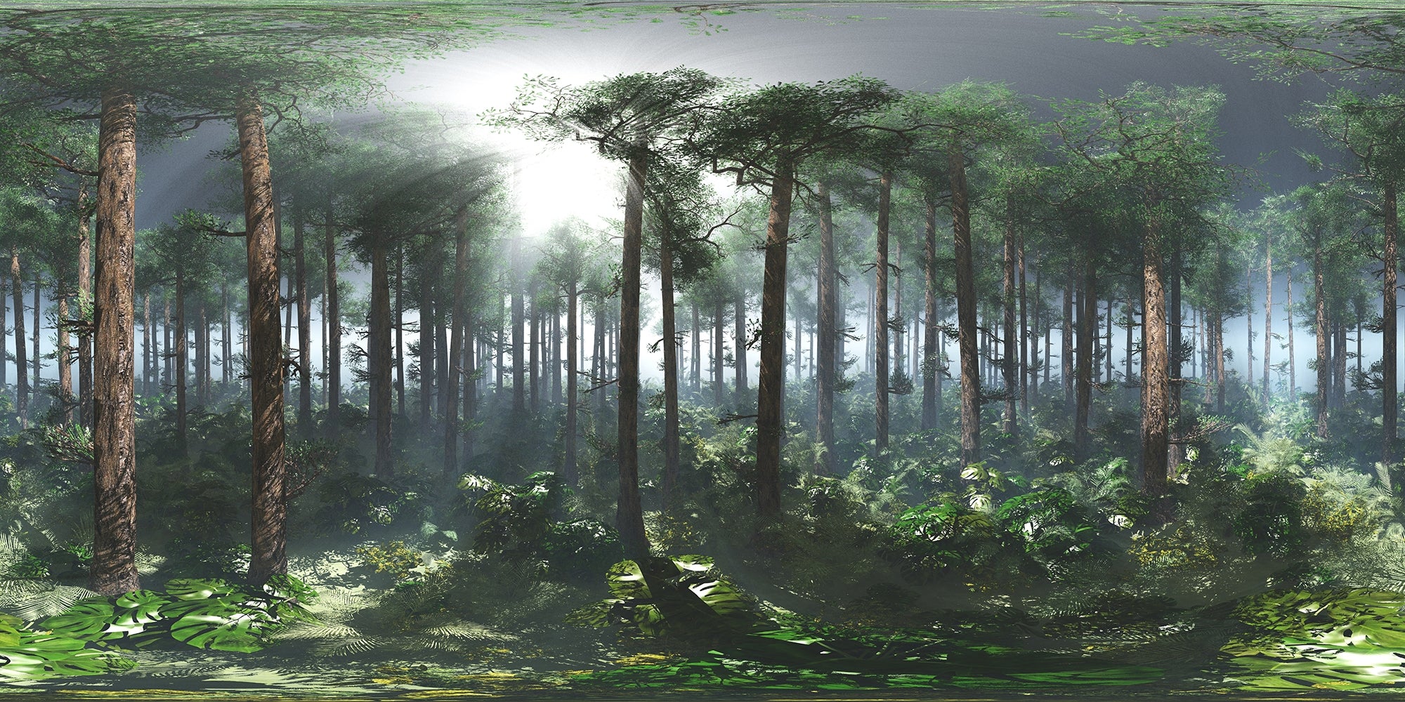 Peel & Stick Foggy Rainforest Murals