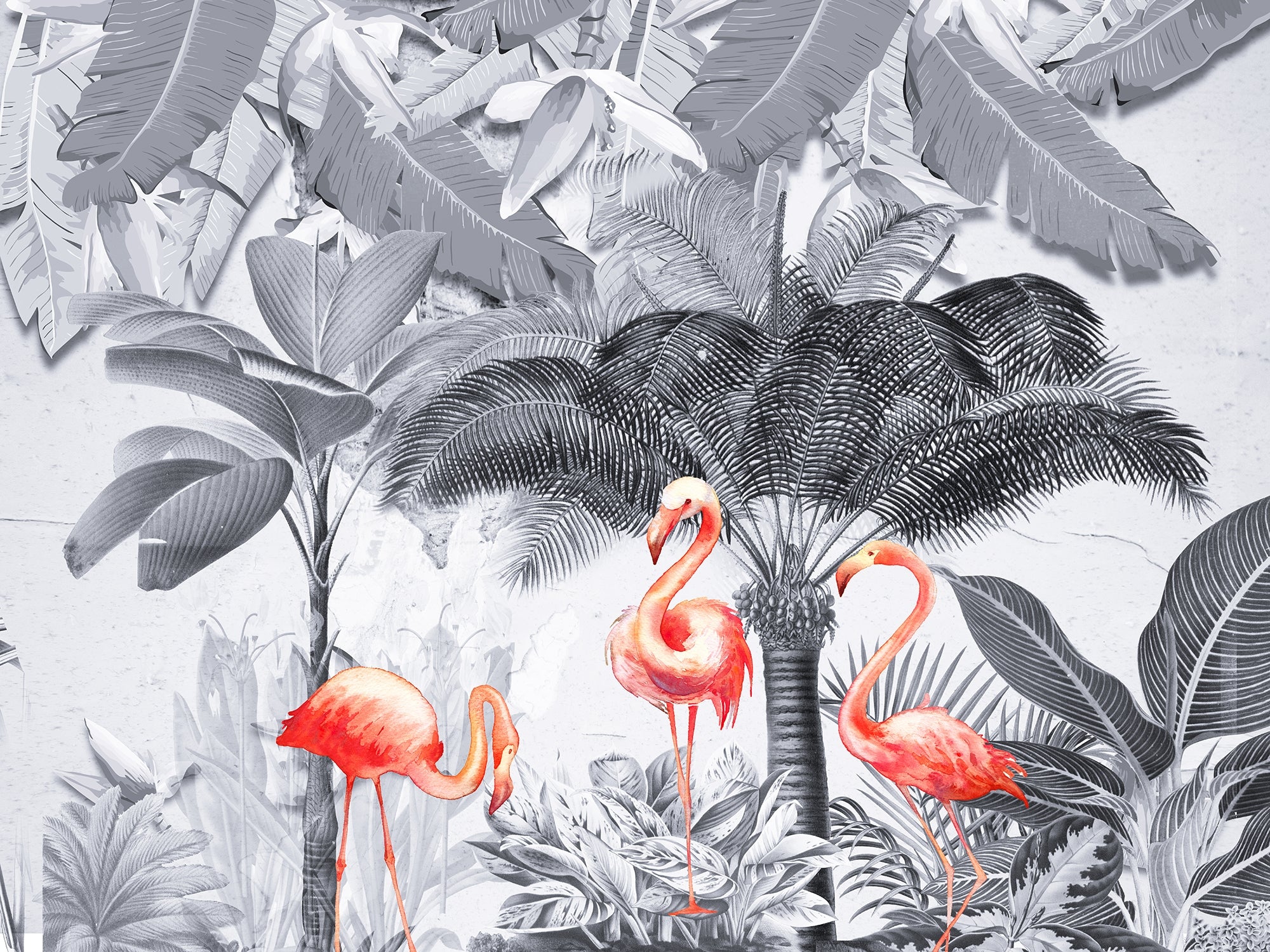 Flamingo Haven in Shades of Gray Murals
