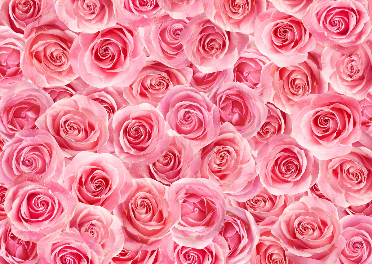 Self Adhesive Charming Pink Rose Murals in your room